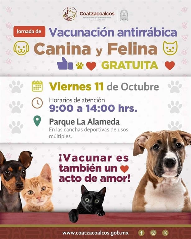 Realizarán jornada de vacunación antirrábica gratuita para perros y gatos a Coatzacoalcos: lugar y fecha