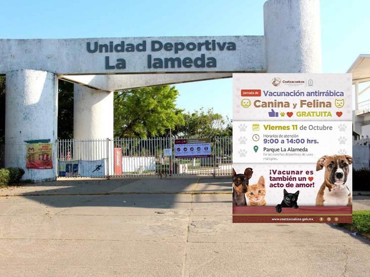 Realizarán jornada de vacunación antirrábica gratuita para perros y gatos a Coatzacoalcos: lugar y fecha