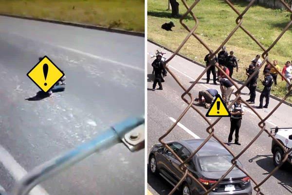 Arrojan a mujer de Cosamaloapan de un auto en movimiento sobre la autopista Puebla-Orizaba