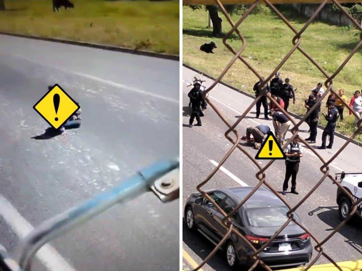 Arrojan a mujer de Cosamaloapan de un auto en movimiento sobre la autopista Puebla-Orizaba
