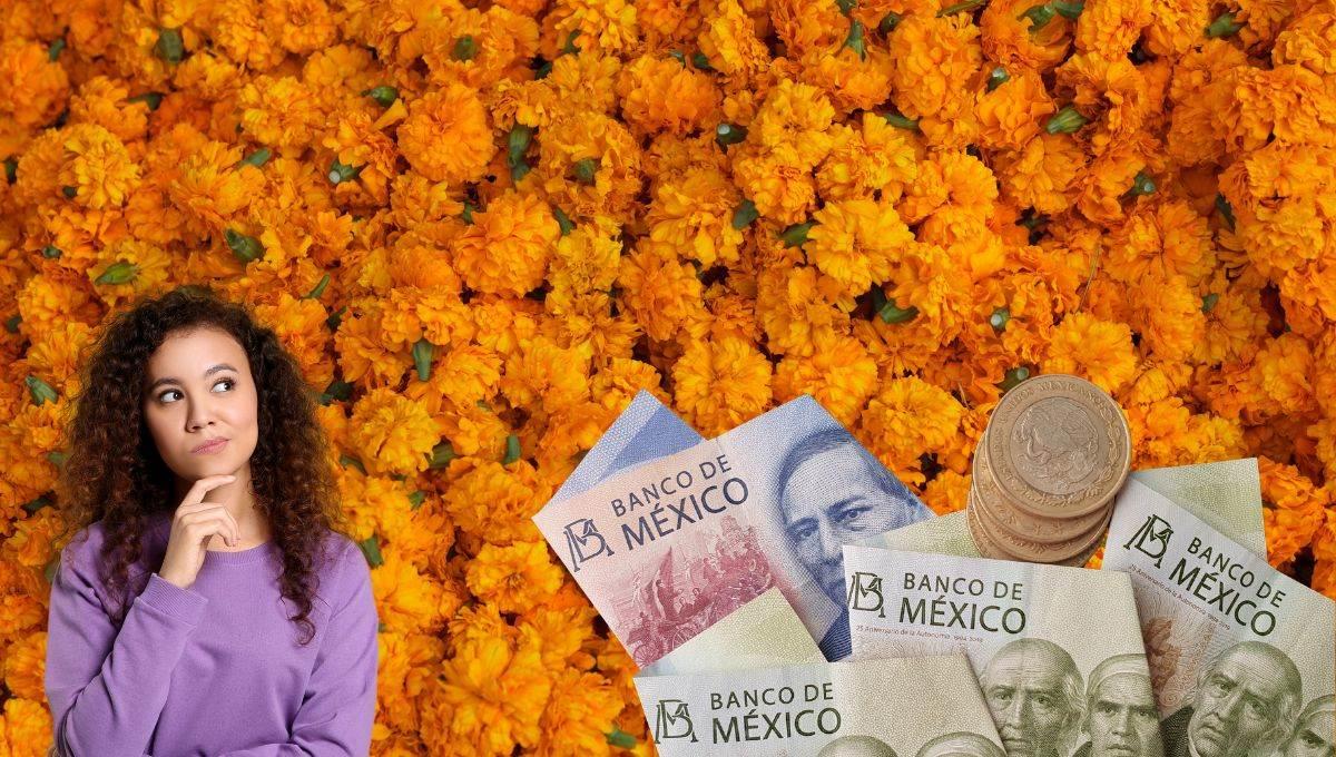 ¿Cuánto y por qué subirá de precio la flor de cempasúchil para el Día de Muertos?