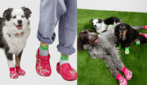 ¿Crocs para perros? La marca lanzará modelos para peluditos