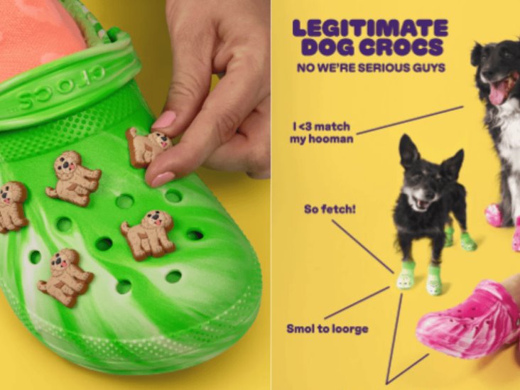 ¿Crocs para perros? La marca lanzará modelos para peluditos