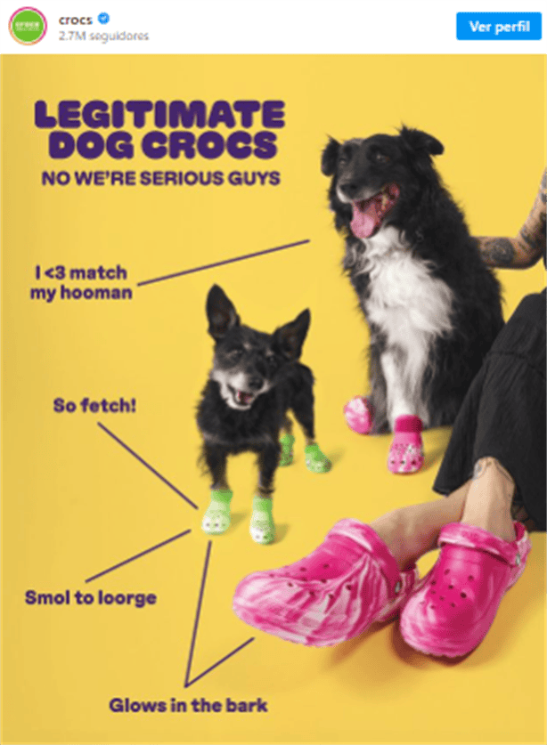 ¿Crocs para perros? La marca lanzará modelos para peluditos