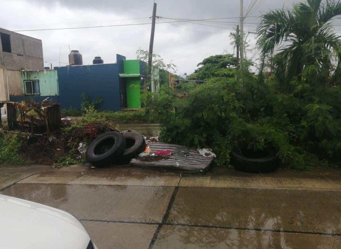 Realizarán jornada de descacharrización en Dunas y Ciudad Olmeca