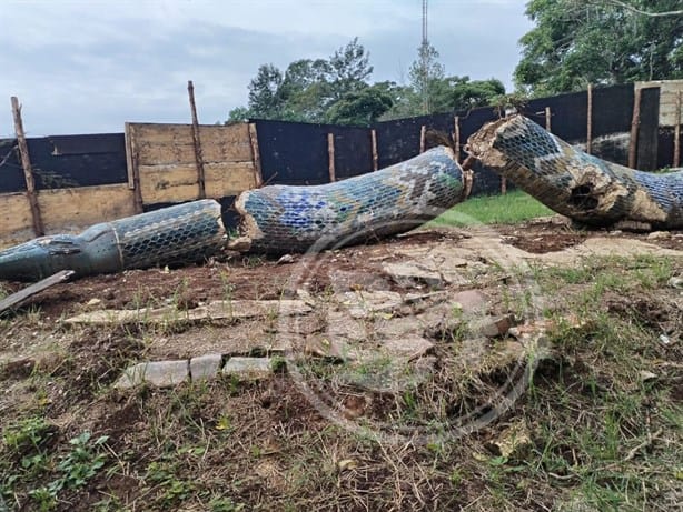 Así lucen los restos de Coatl, escultura de serpiente destruida en el Parque Natura de Xalapa