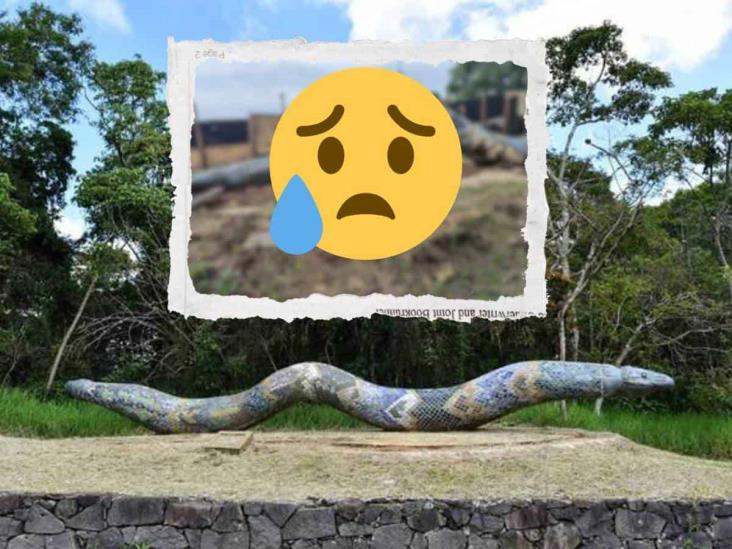 Así lucen los restos de Coatl, escultura de serpiente destruida en el Parque Natura de Xalapa