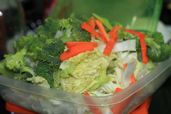 ¿Qué es la dieta de la carpeta y qué beneficios tiene, según Harvard?