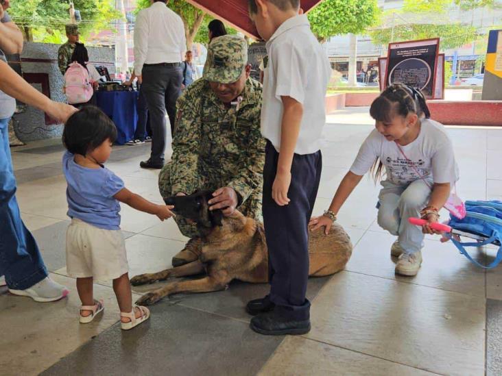 Exposición militar sorprende a pozarricenses