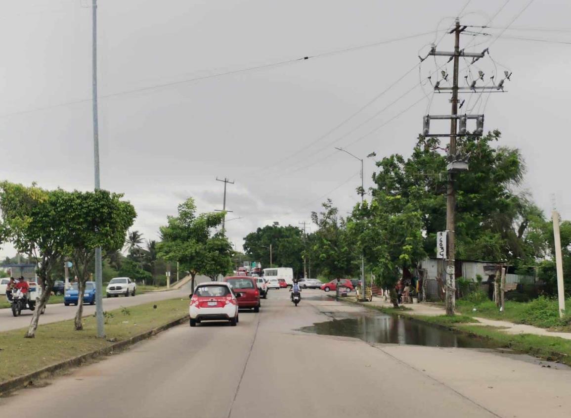 Poda de arboles genera caos vehicular en calles de Nanchital