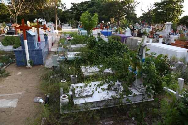 Caída de árbol daña tumbas en el Panteón Jardín de Coatzacoalcos | VIDEO