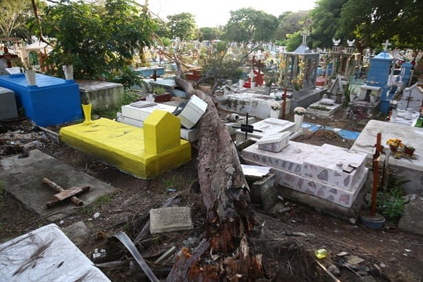 Caída de árbol daña tumbas en el Panteón Jardín de Coatzacoalcos | VIDEO