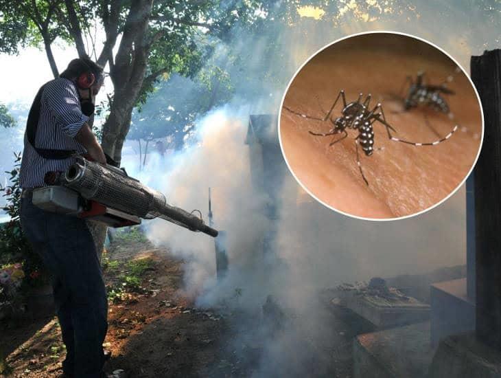 Alerta en 5 estados de México por aumento de dengue ¿de cuáles se trata?