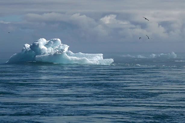 ¿Es Veracruz? IA revela cuál ciudad desaparecerá primero por el cambio climático