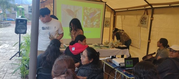 Aves en peligro, solo el 40% vuelve tras la sequía en laguna de Chirimoyo, en Orizaba