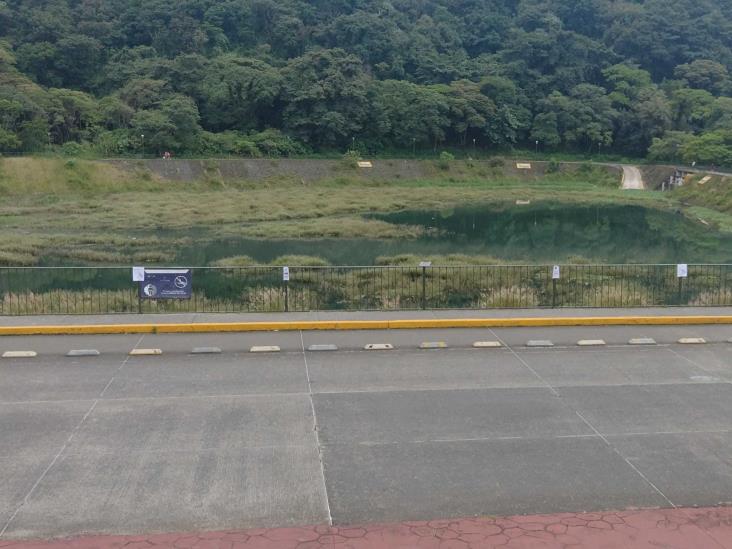 Aves en peligro, solo el 40% vuelve tras la sequía en laguna de Chirimoyo, en Orizaba