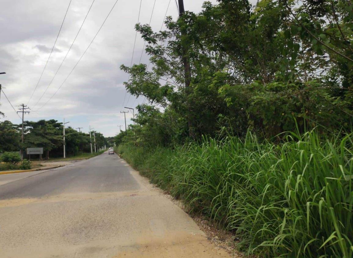 ¡Aguas! otro deslave en la carretera Nanchital-Ixhuatlán del sureste