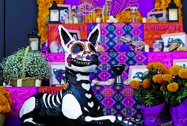 Día de Muertos 2024: ¿Cuándo se pone la ofrenda para mascotas fallecidas?