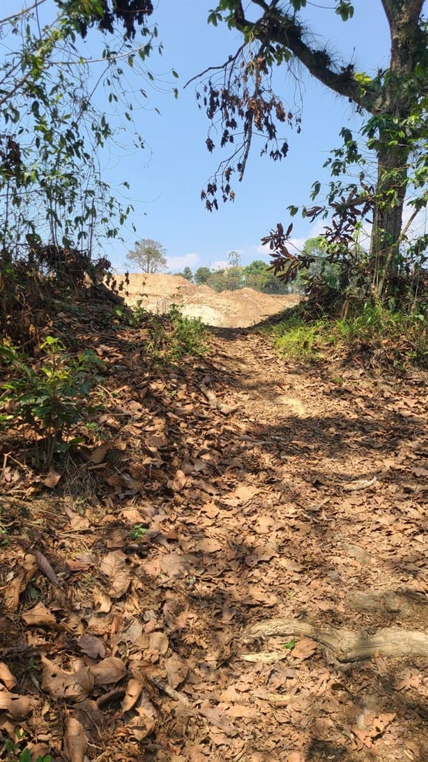 Manantiales de Coatepec en peligro por saqueo de minería de arena durante 23 años; Alcaldía encubre