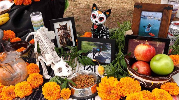 Día de Muertos 2024: ¿Cuándo se pone la ofrenda para mascotas fallecidas?