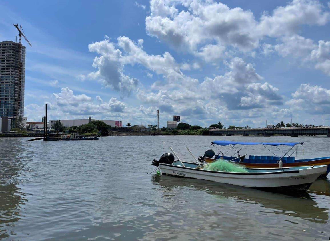 Café jarocho: El dragado del Jamapa, una oportunidad