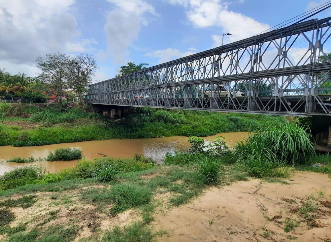 No es uno ni dos, familia de cocodrilos estaría atemorizando en márgenes del río Agua Dulce