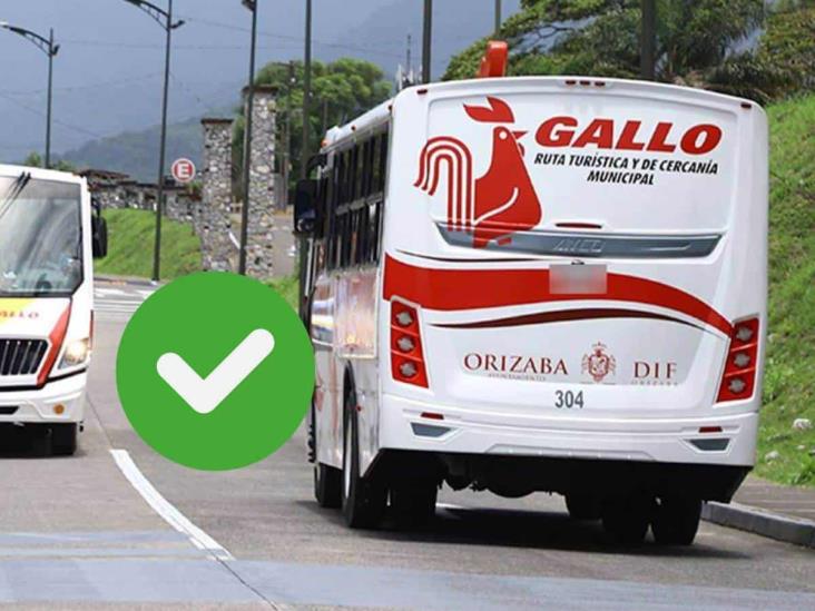 Pese a protestas, presume alcalde de Orizaba éxito de autobuses Gallo y Búho