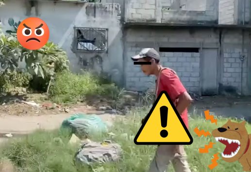 ¿Qué castigo podría enfrentar el hombre que traía una cabeza de perro en Veracruz?