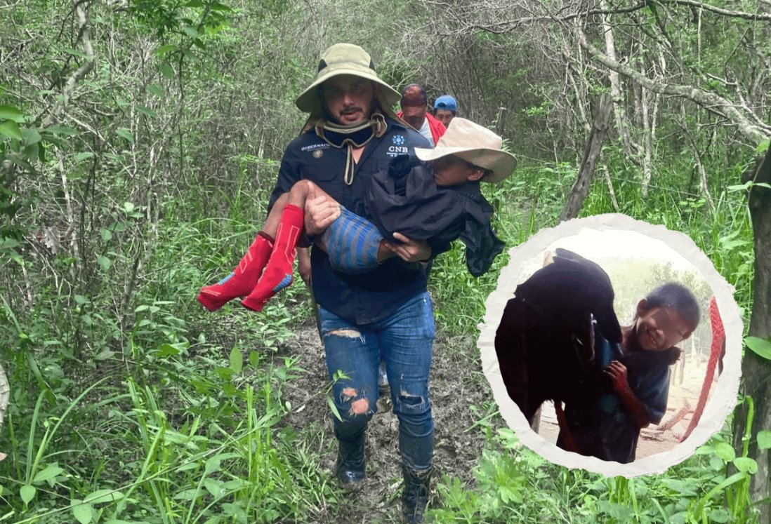 Niño de 9 años sobrevivió 8 días perdido en la selva de Campeche; dos perros lo cuidaron