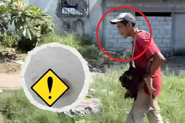 ¡De miedo! En Veracruz, captan a sujeto cargando la cabeza de un perro