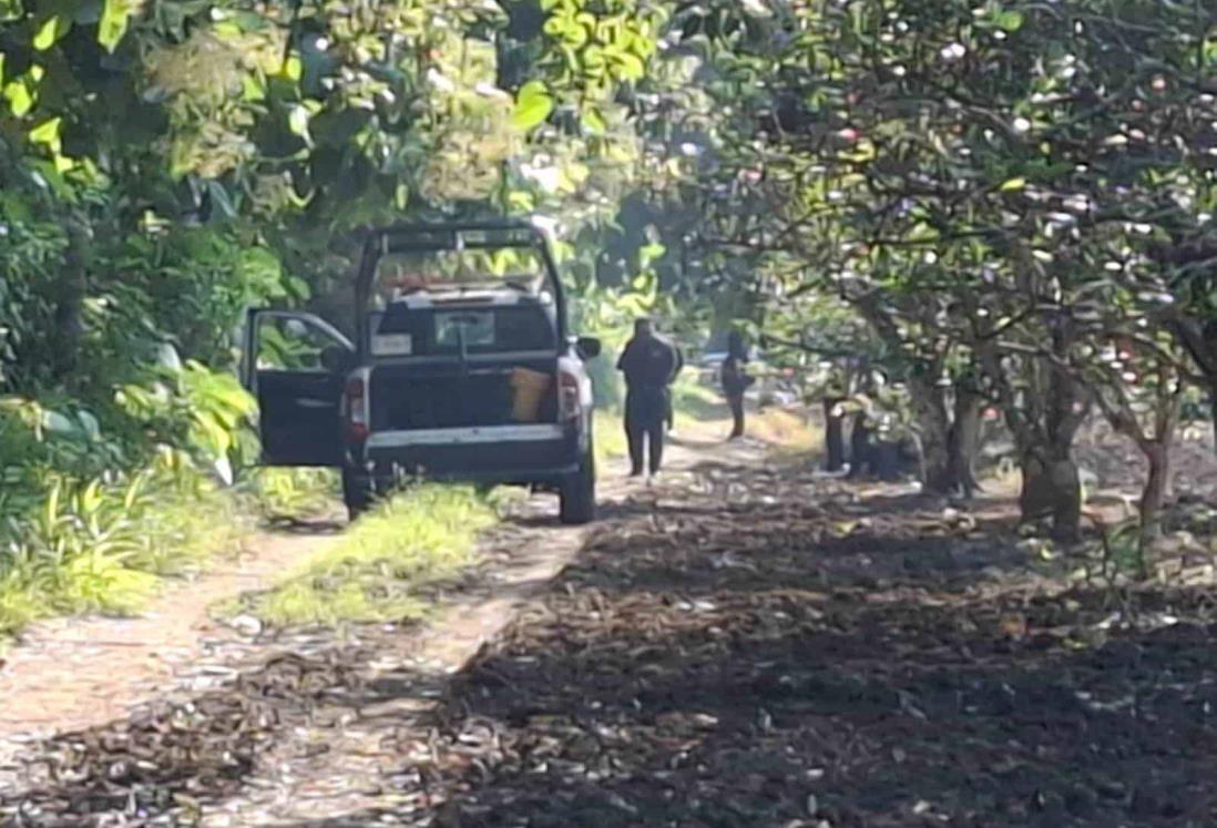 Hallan a mujer sin vida en Álamo, estaba tapada con maleza