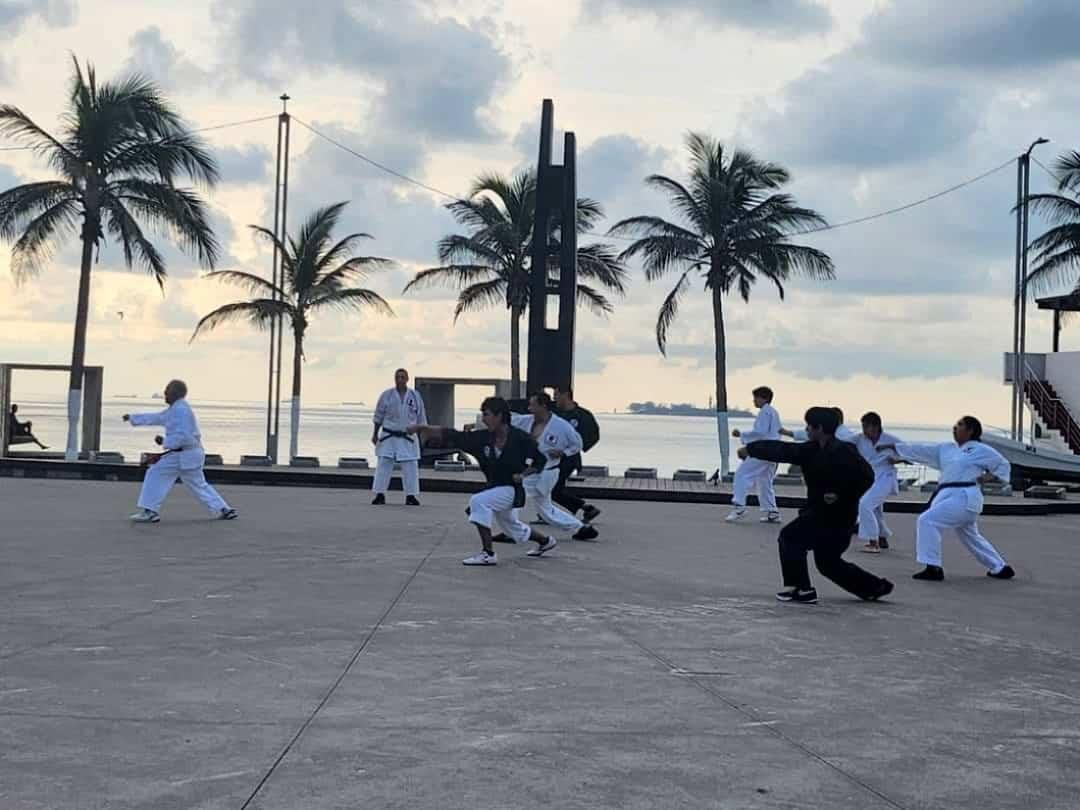 Periodistas de Veracruz aprenderán artes marciales ante la ola de violencia