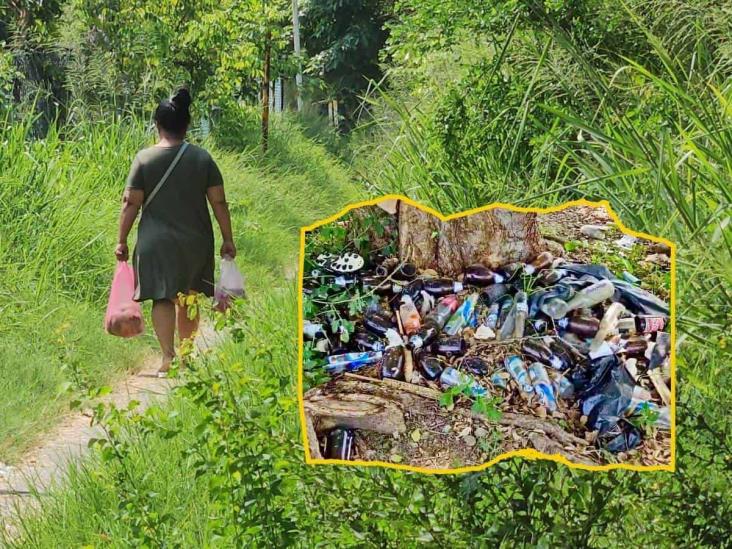 Parece jungla; así lucen estos conocidos campos deportivos en Poza Rica