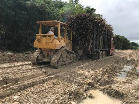 Caminos cañeros destrozados; se avecina la zafra 2024 - 2025