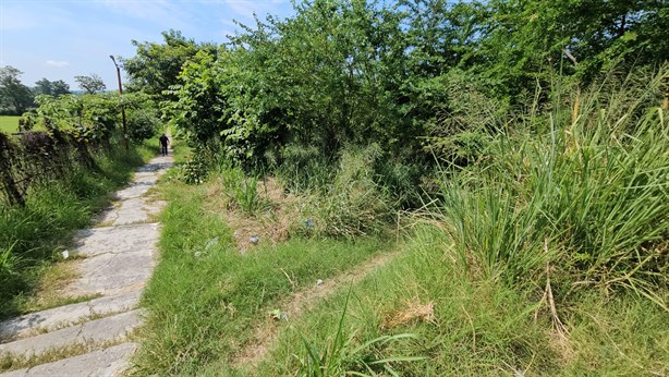 Parece jungla; así lucen estos conocidos campos deportivos en Poza Rica