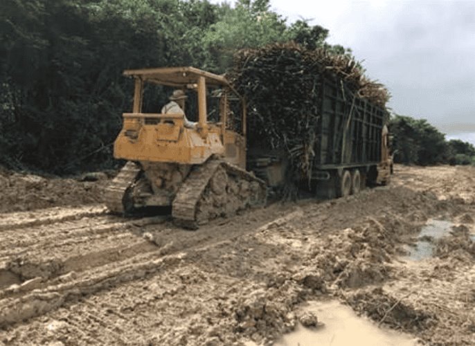 Caminos cañeros destrozados; se avecina la zafra 2024 - 2025