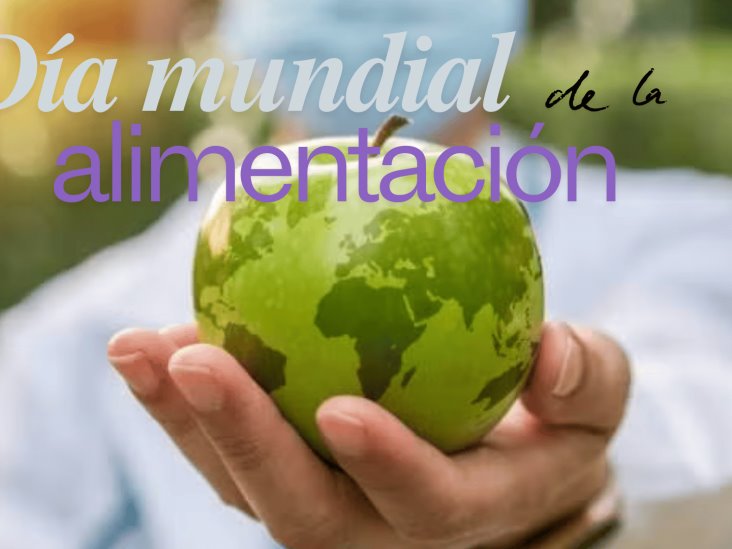 ¿Por qué se celebra el Día mundial de la alimentación?