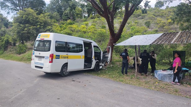 Camioneta de Coppel se estrella contra un árbol en Monte Oscuro, hay un herido