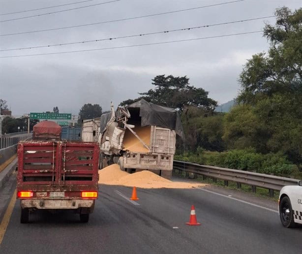 Choque de tráileres en la autopista Orizaba-Puebla provoca la muerte de dos caballos