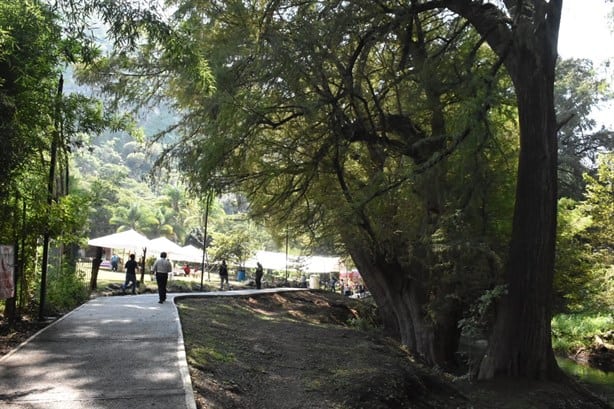 Con la presencia del gobernador, inauguran el Parque Ecológico Ciudad de los Ahuehuetes en Mendoza