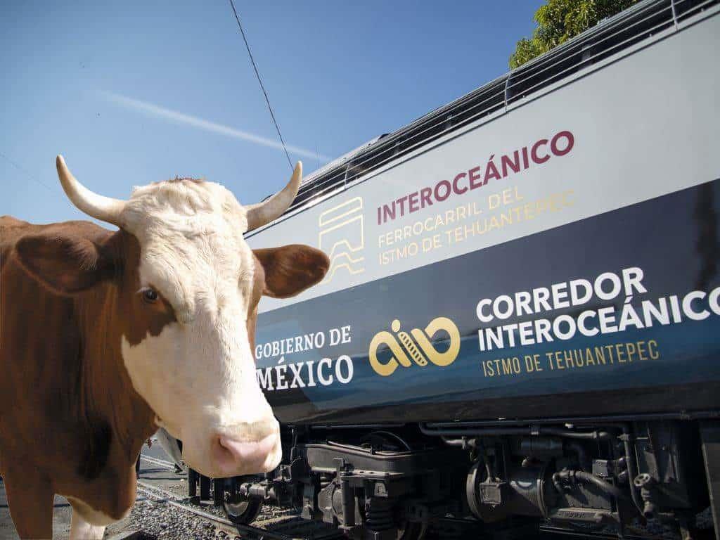 Corredor Interoceánico: estos serán los beneficios para los ganaderos del sur