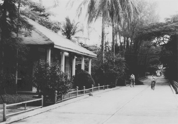 Así lucía la colonia inglesa Tacoteno de Minatitlán hace 60 años