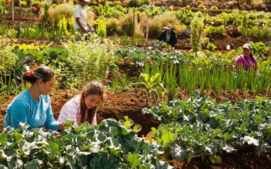 Agroecología y género, bases de una agricultura familiar