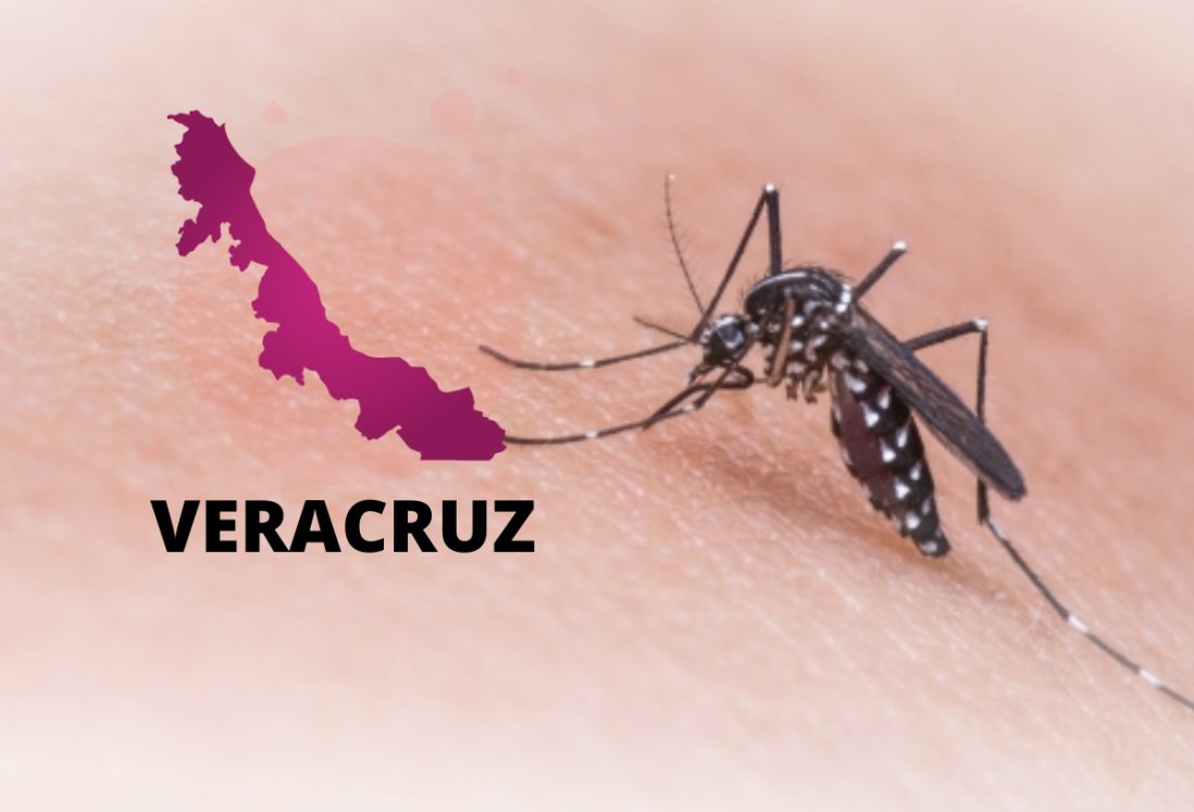 Casos de dengue en Veracruz se han triplicado en 2024, asegura Secretaría de Salud