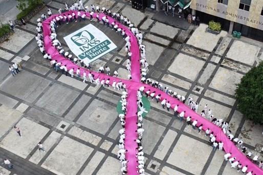 Día Mundial en Contra del Cáncer de Mama