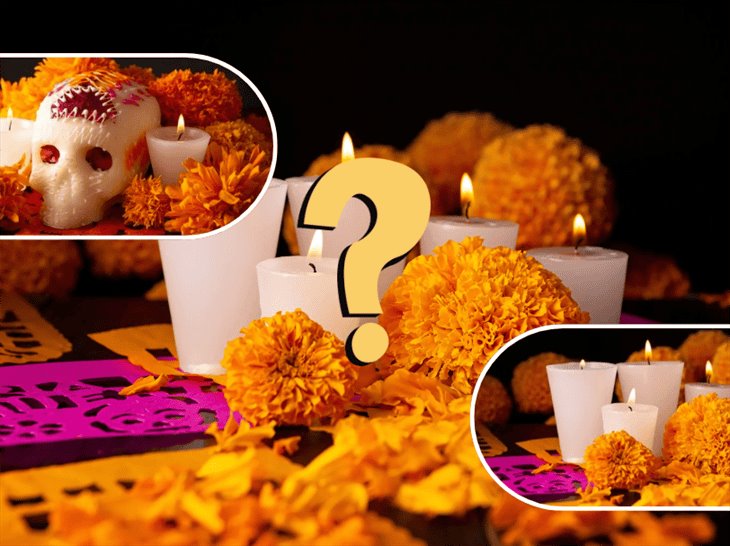 Día de Muertos: este es el significado de la flor de cempasúchil ¿lo sabías? 