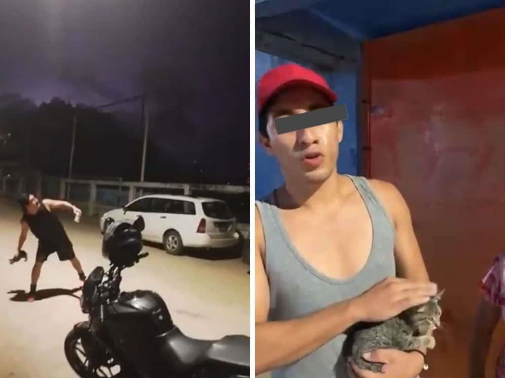 Sujeto que lanzó un gato en Coatzacoalcos fue vinculado a proceso | VIDEO