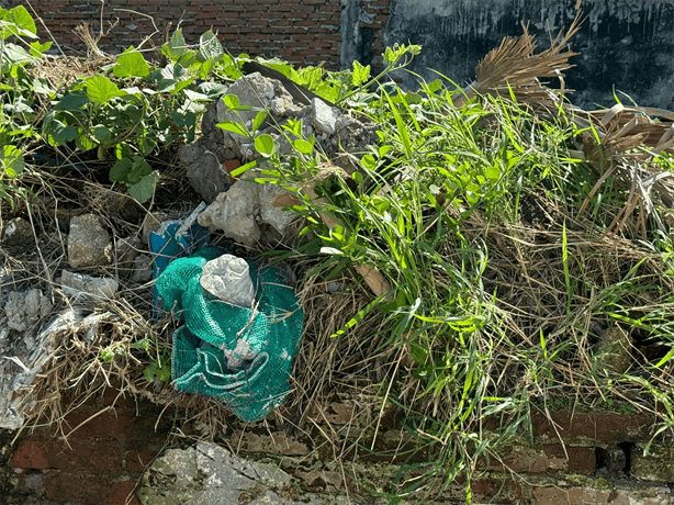 Vecinos denuncian acumulación de basura y escombros en terreno baldío de Veracruz