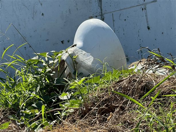 Vecinos denuncian acumulación de basura y escombros en terreno baldío de Veracruz