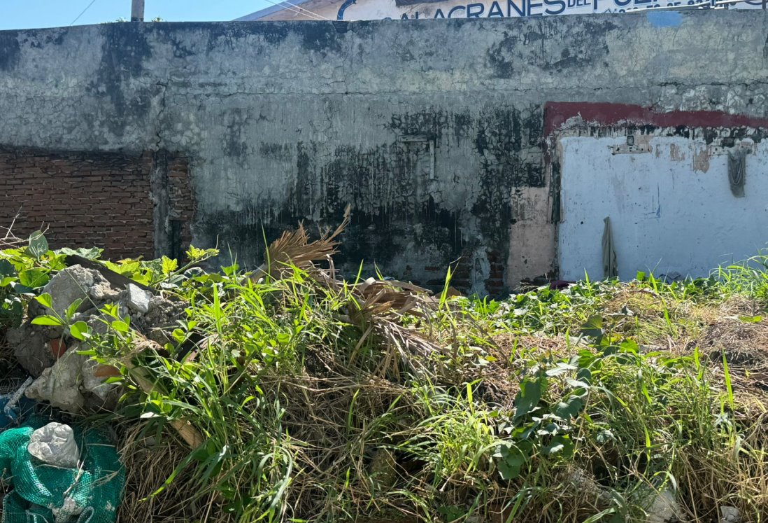 Vecinos denuncian acumulación de basura y escombros en terreno baldío de Veracruz